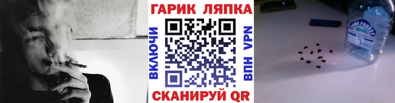 Купить где  Калининец  Гашиш hashish 