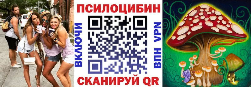 Псилоцибиновые грибы прущие грибы  Купить где  Калининец 